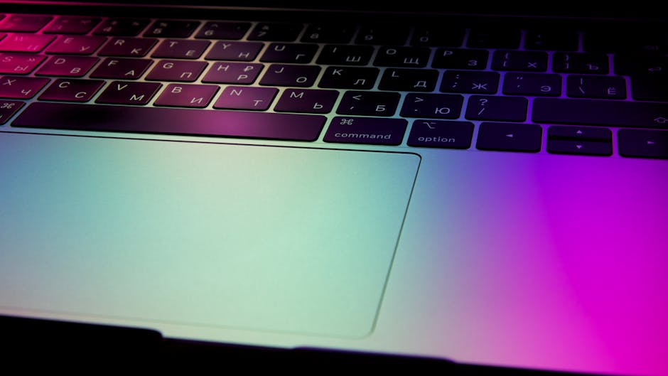 Курсы программирования и веб-дизайна